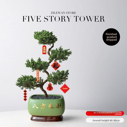 Five-Layer Pagoda Pine Bonsai with Ceramic Pot