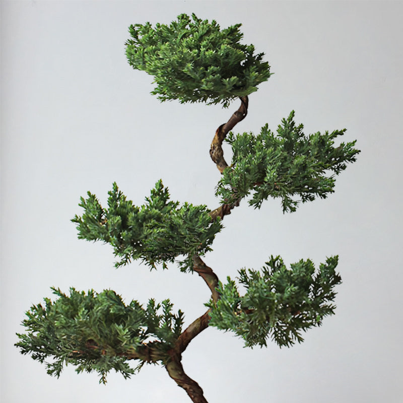 Five-Layer Pagoda Pine Bonsai with Ceramic Pot