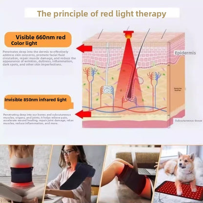 Infrared therapy lamp