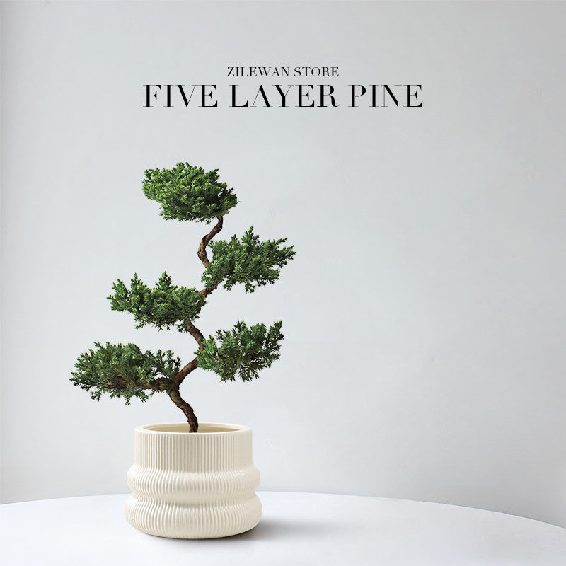 Five-Layer Pagoda Pine Bonsai with Ceramic Pot