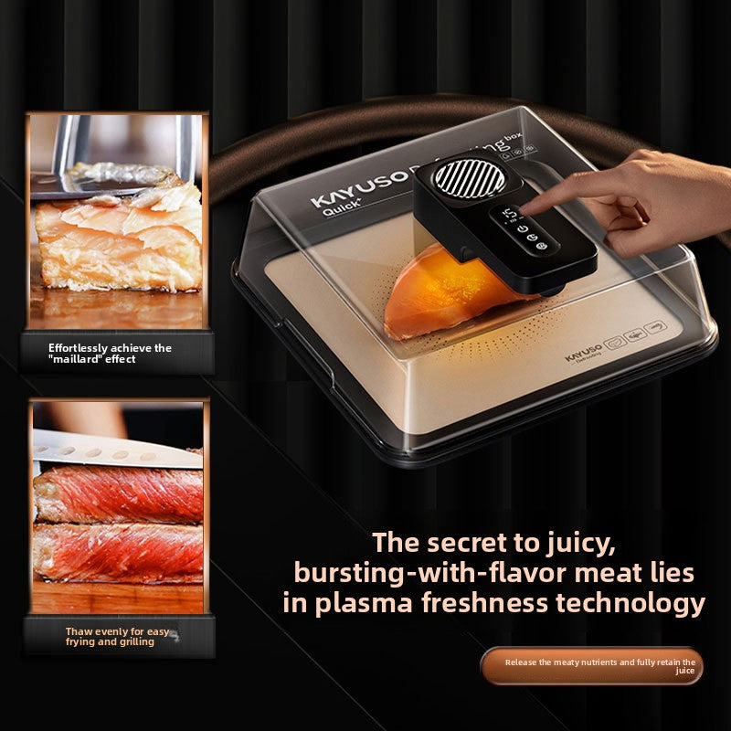 Smart Electric Food Defroster with Constant Temperature Control