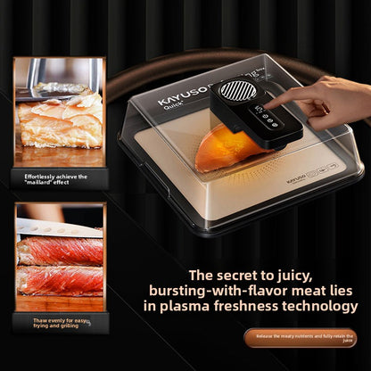 Smart Electric Food Defroster with Constant Temperature Control