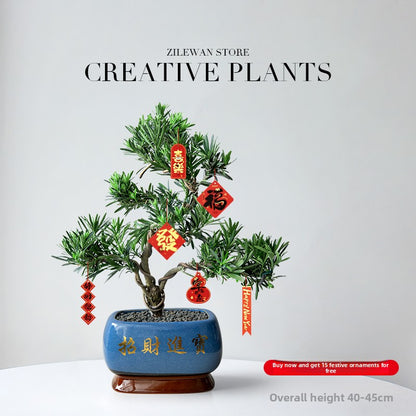 Five-Layer Pagoda Pine Bonsai with Ceramic Pot