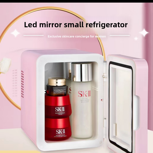 Compact Car Refrigerator with Cooling and Heating Functions