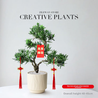 Five-Layer Pagoda Pine Bonsai with Ceramic Pot