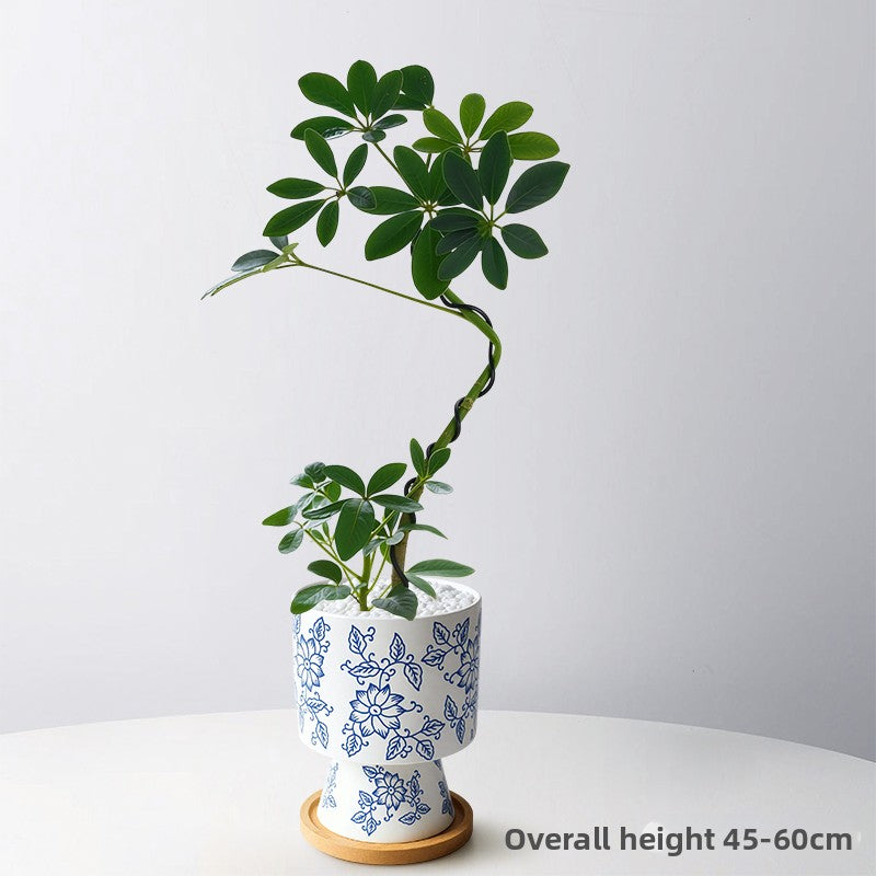 Stylized Schefflera Potted Plant for Indoor Decoration