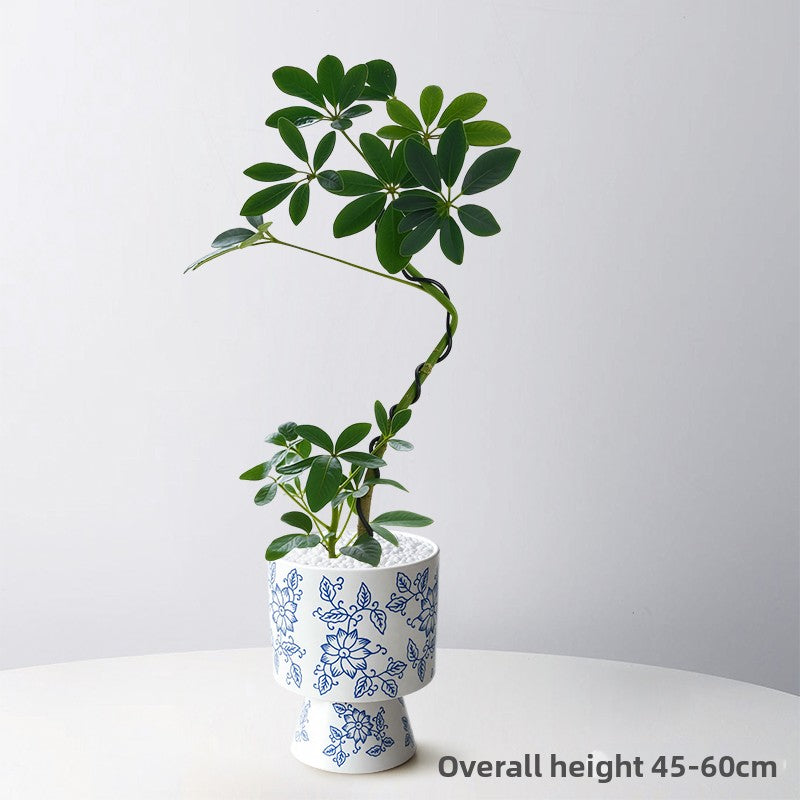Stylized Schefflera Potted Plant for Indoor Decoration